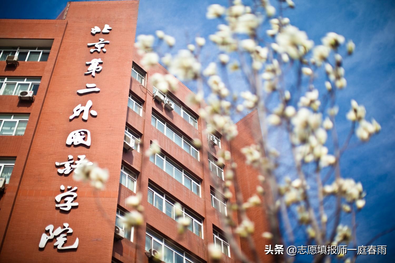 中国语言类大学排名，北京外国语大学排第一，第二有争议