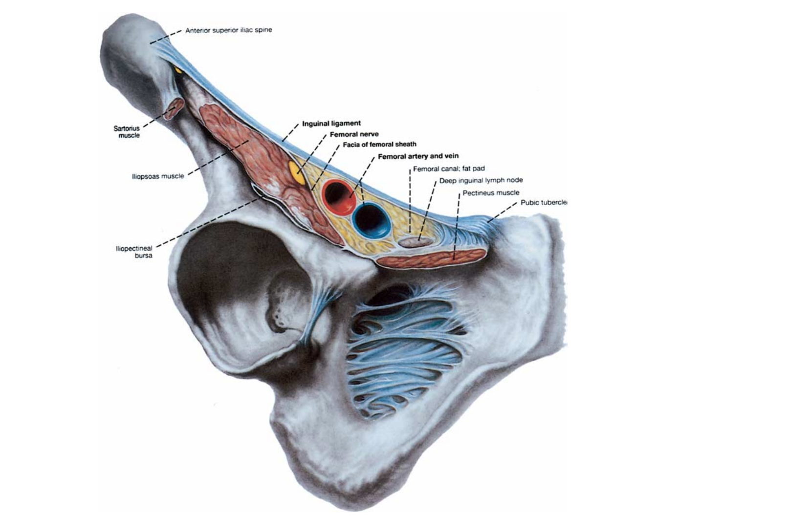 髋关节有积液了咋办？医生：千万不能一消了事！