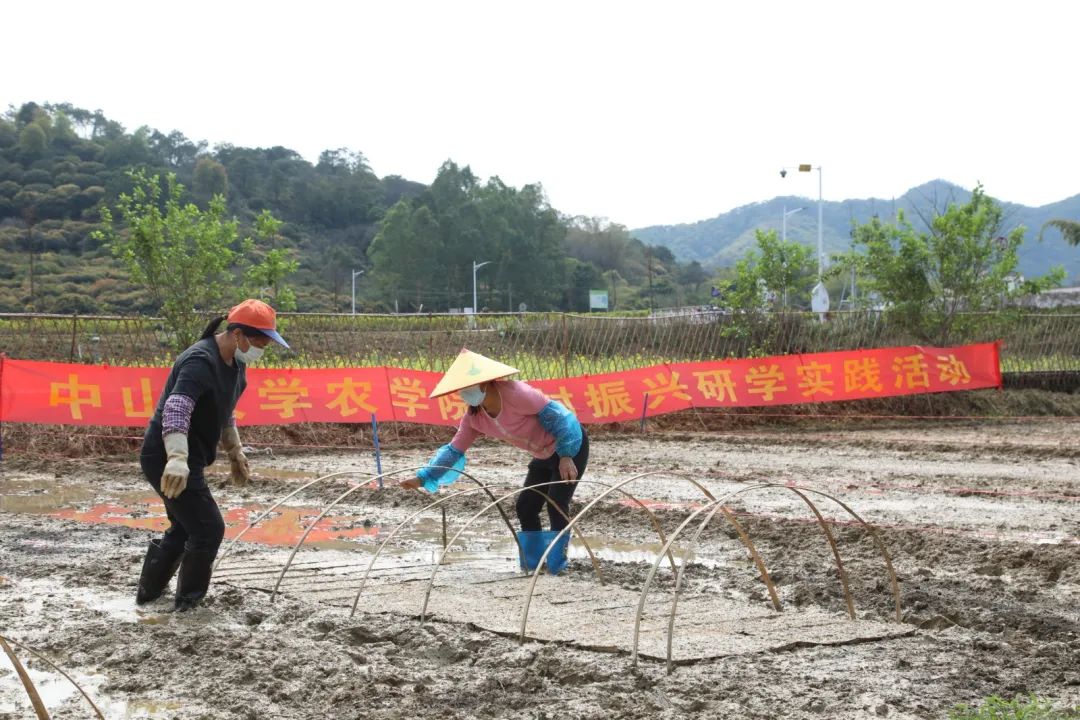 从化｜打造产学研高地，中山大学农学院助推街口谱写乡村振兴新篇章