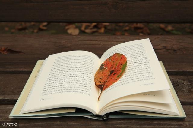 中专可以参加高考吗（中专毕业能参加成人高考吗）