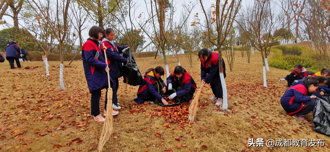 必修！这门课要“泥土”还要“破土”