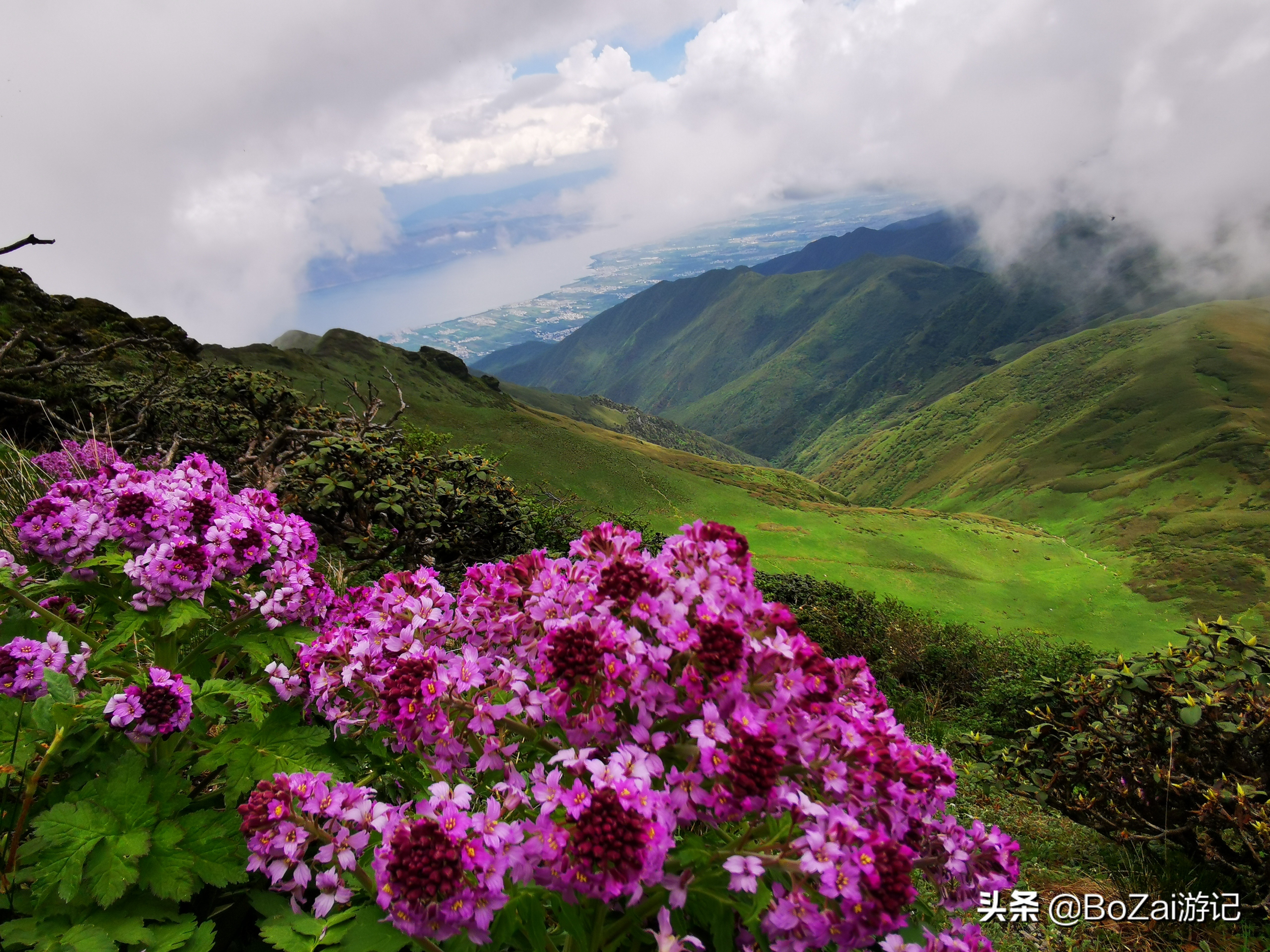 大理旅游攻略必去景点（大理旅游必去的17大景点）-第87张图片