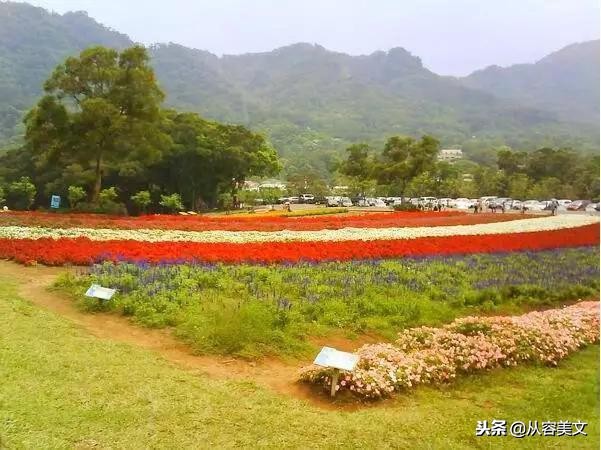 晚安唯美心语句子：心灵的房间，不打扫就会落满灰尘