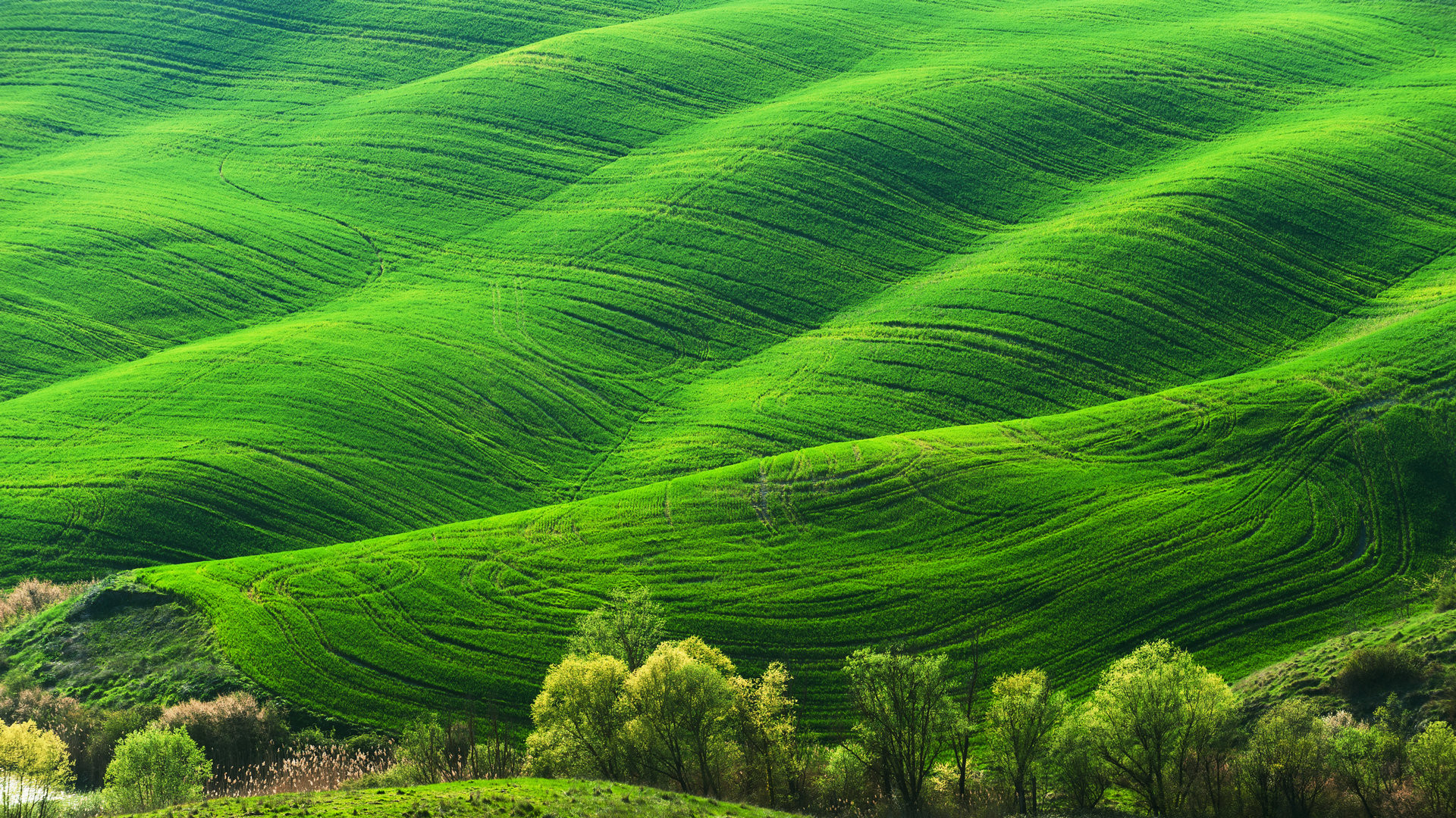 好看的桌面壁纸电脑桌面壁纸软件