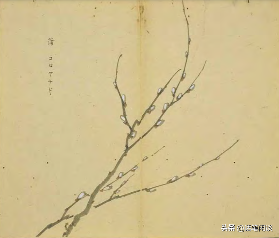 日本学者用心为《诗经》编了数百种图解，万物有灵，又美又细腻
