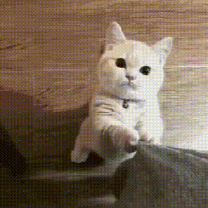 高考语文146分的卷面长啥样？“印刷体”般的字迹，舍不得扣分