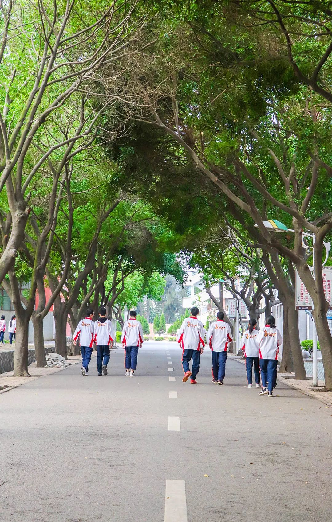 泉州这所中学，办过世界级比赛，还有独立露天游泳池？！厉害了！