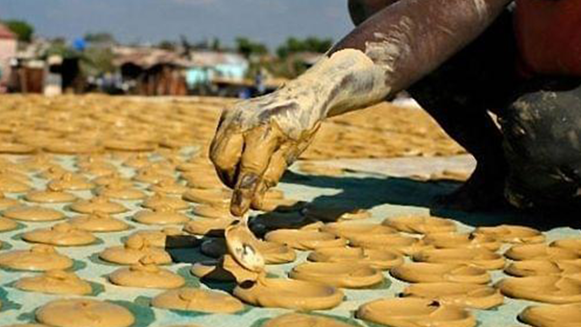 海地共和国,简称海地,是位于北美洲的一个岛国.