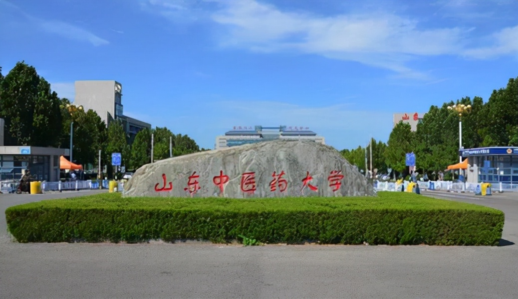 山东中医药大学生药学613药学综合考研干货：题型、参考书、习题