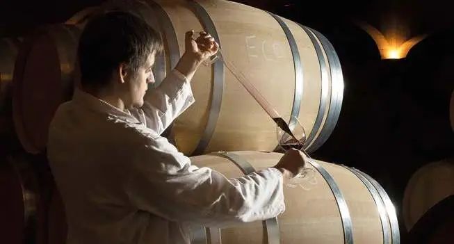 毕业季 | 葡萄酒专业都学什么？未来就业方向有哪些？