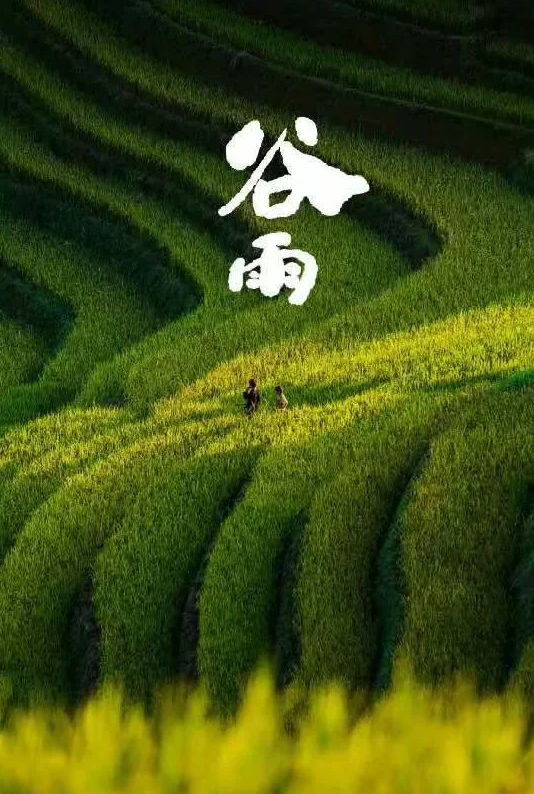 「原创诗词」阿茂 | 壮志野花成昨梦 半年岁事又峥嵘（诗词十首）