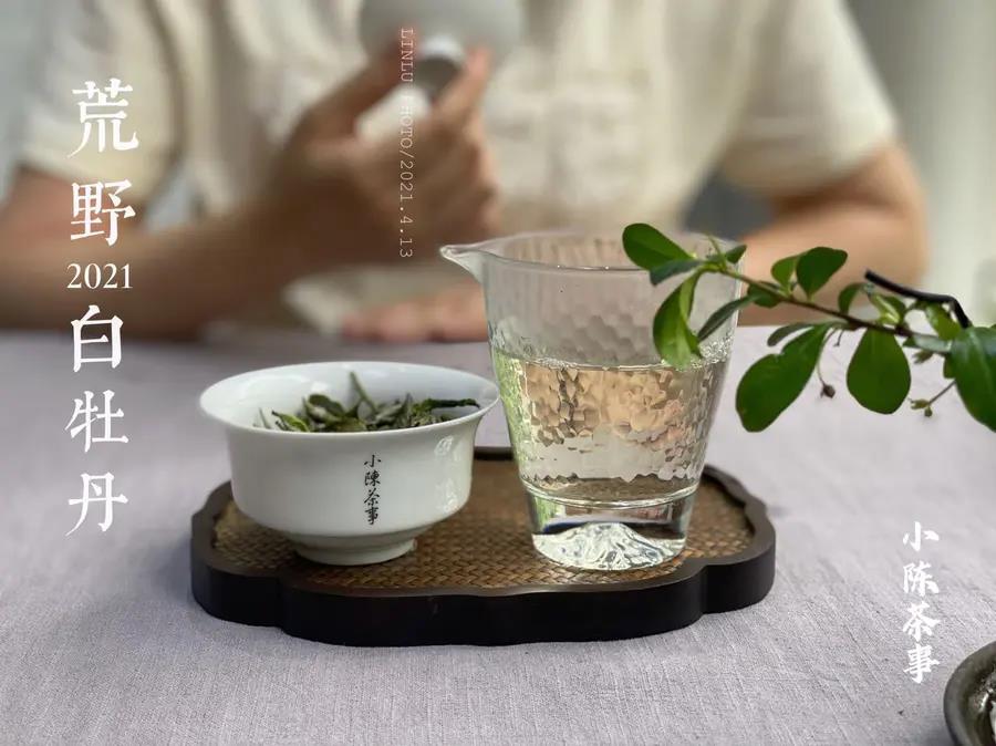 盖碗、烧水壶、公道杯，一份详尽的茶具选购清单，你买对了吗？