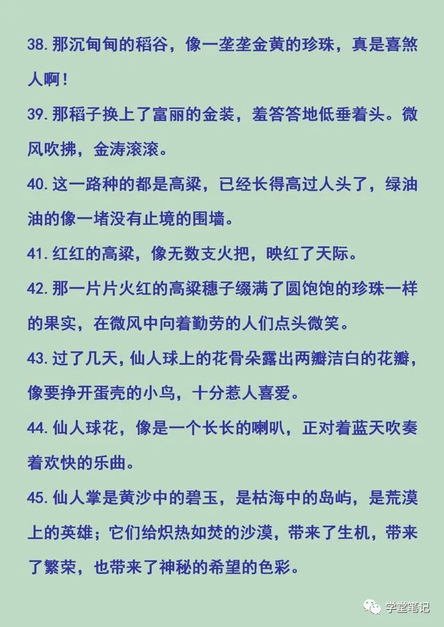 清华学霸妈妈整理：常用的排比句、比喻句、夸张句、拟人句，珍藏