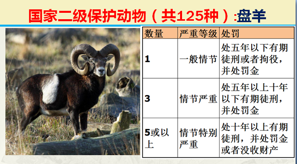 国家保护动物分几个等级（125类二级野生保护名录）