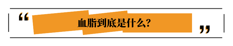 教你看懂血脂报告单：这些指标太高，你可能得了高血脂