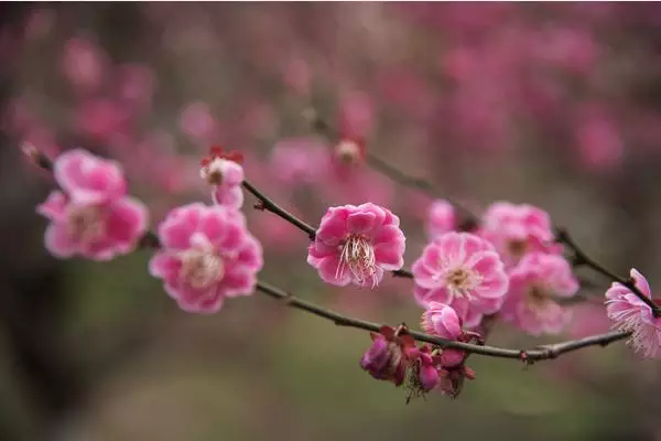 广东本科大学二批学校总汇