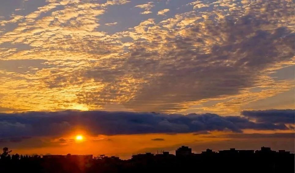 东莞市翰林实验学校丨这里每10个学生，有近5个考上重点大学