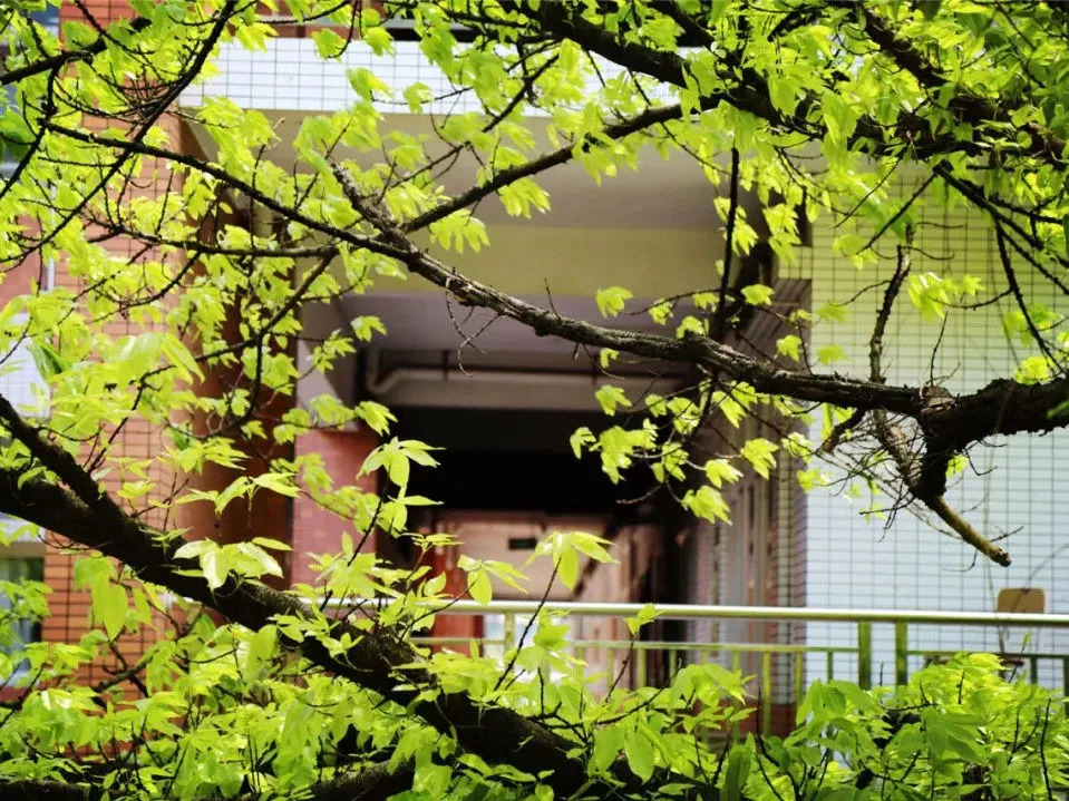 广州高中宿舍大揭秘，快来看看哪所环境最好，住得最舒服？