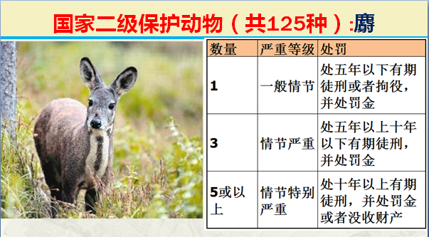 二级保护动物（国家最新125类二级野生保护名录）