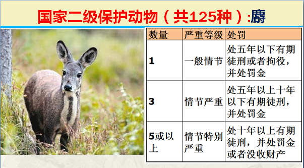 国家保护动物分几个等级（125类二级野生保护名录）