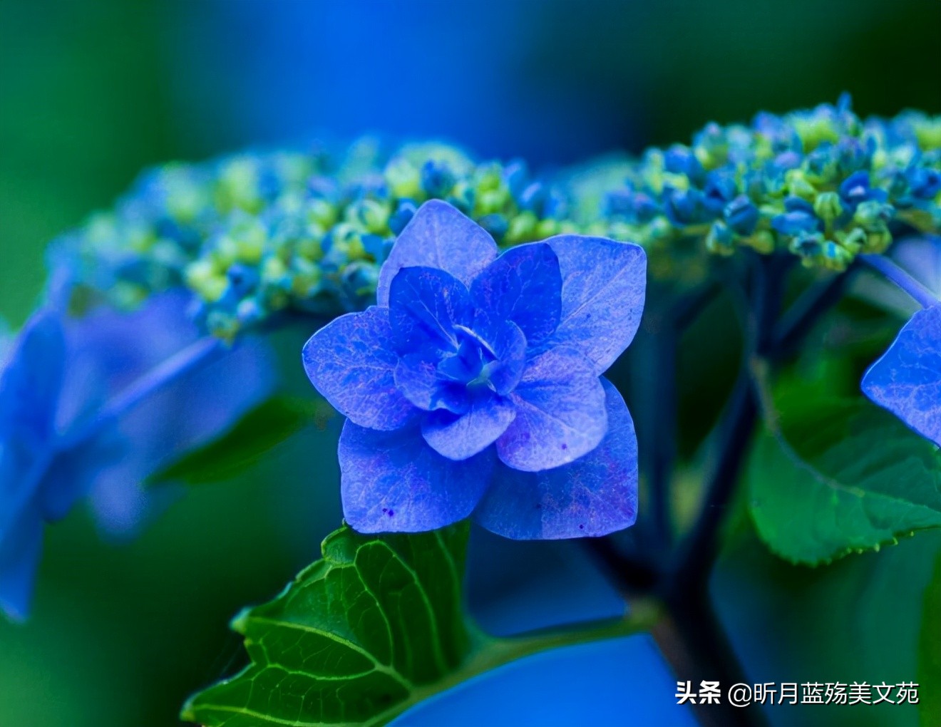 想你，难以入眠；爱你，一生不变