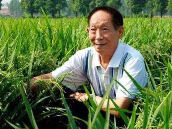 女生高考661分，被浙江大学王牌专业录取，全家人却高兴不起来