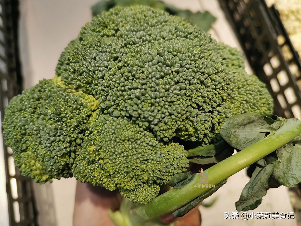 遇到这4种西兰花最好不要购买:1,颜色发黄的;2,花球有明显的凹凸不平