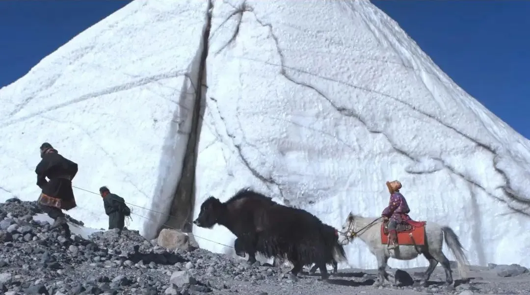 宅家不开心的城市人，都该看看这部神级国产纪录片