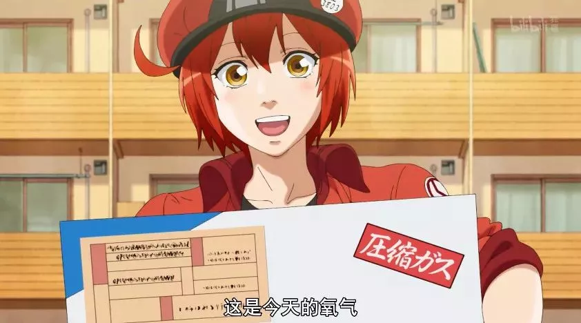 这脑洞大开的漫改韩剧《柔美的细胞小将》,越磕越上头
