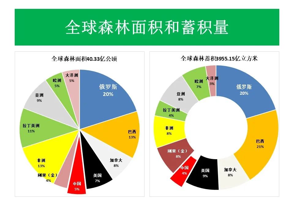 连呼吸都成罪？揭秘被曲解的言论背后真相
