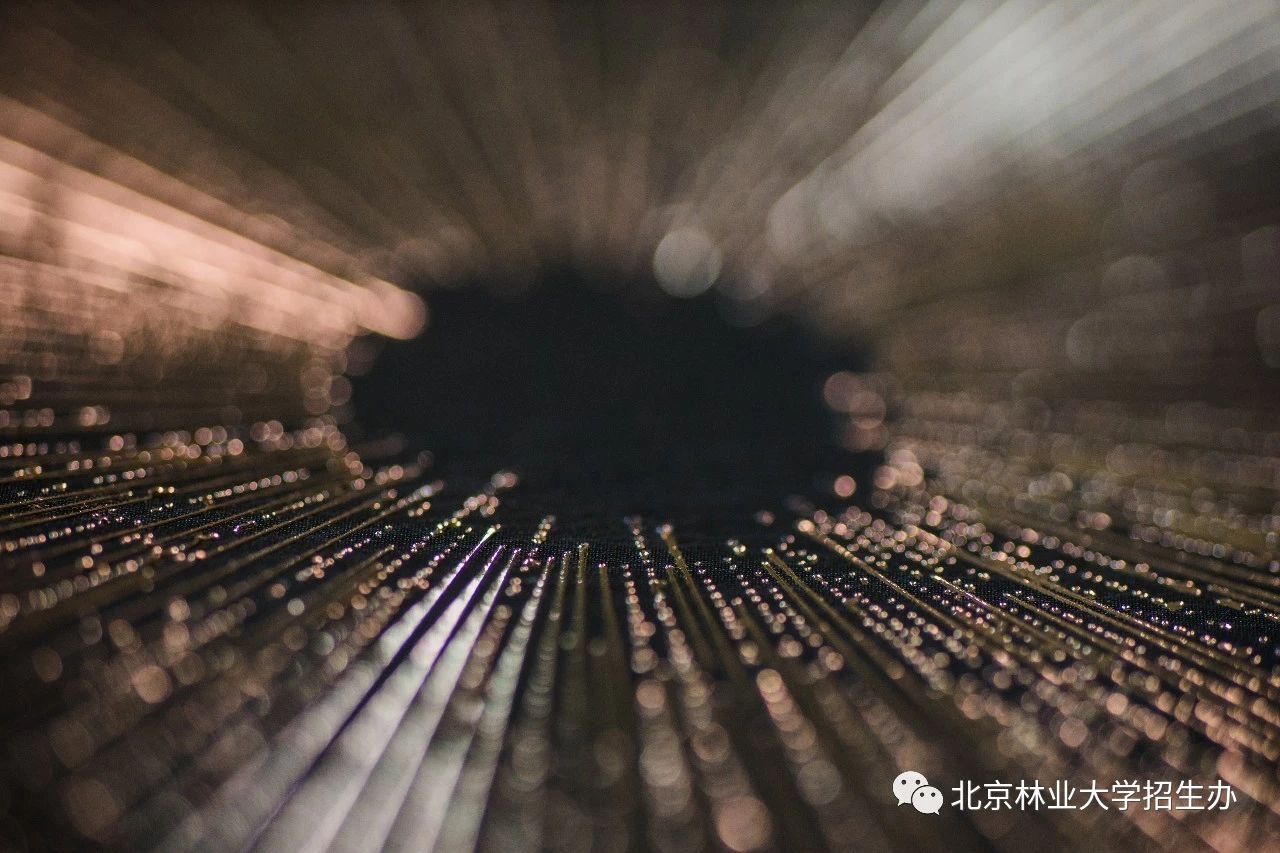 为了讲好八个字的校训，这所学校用了三年...