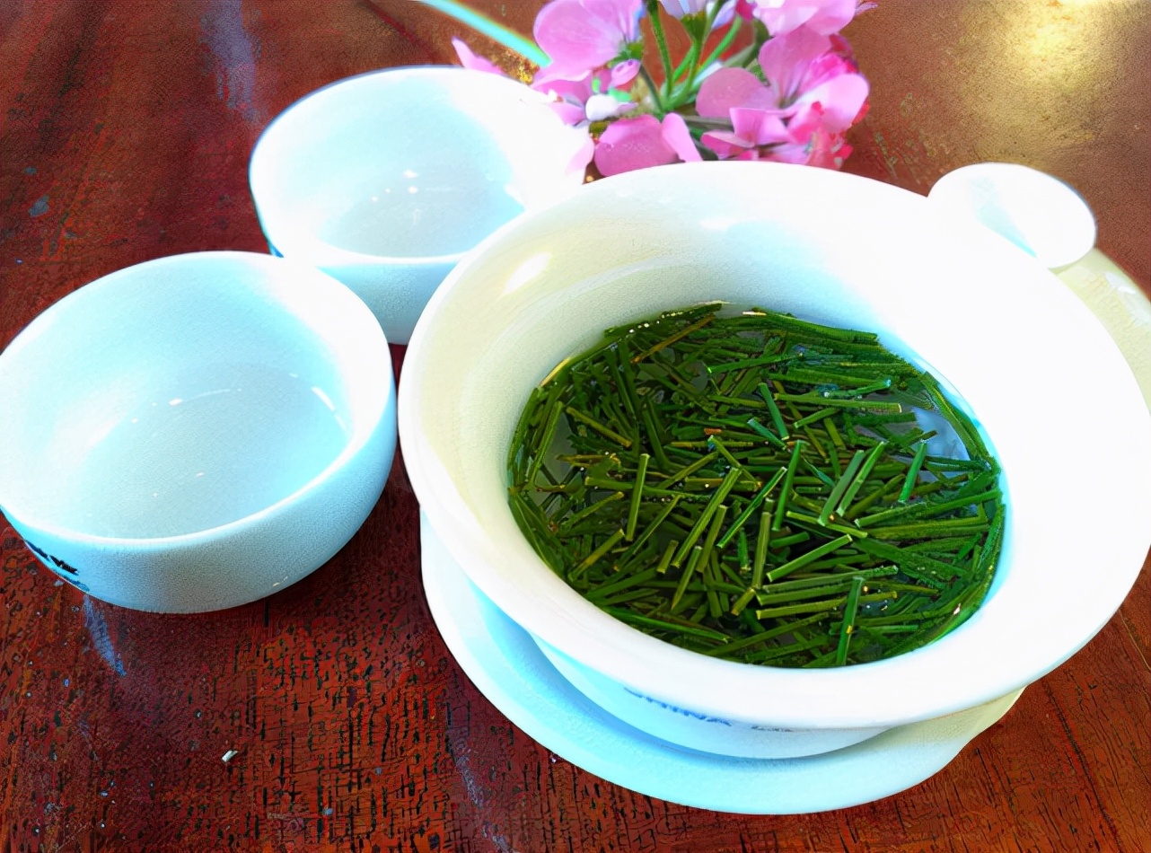 农民用来烧火的枞树叶子,做成松针茶卖30元一斤,有人靠它发财