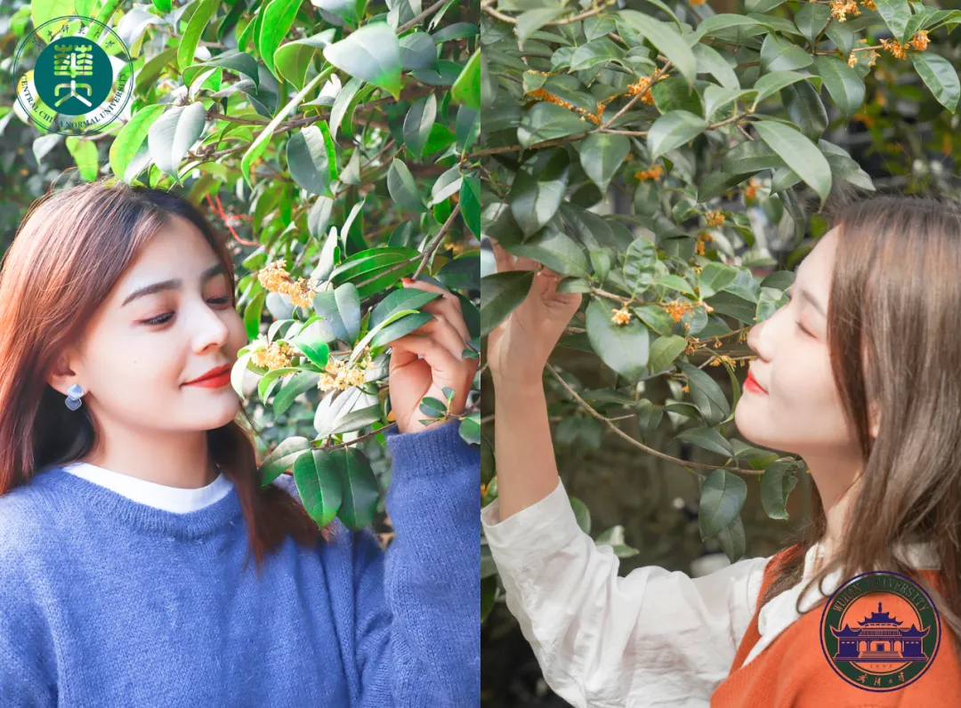 震撼!全国高校最美秋景大PK,哪所高校最最最惊艳?