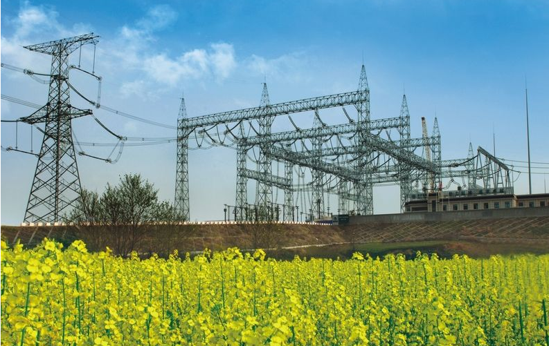 中国的三大黑科技：液态金属有生命、沙漠加水变良田、蚊子在绝育