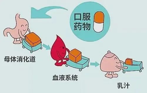 困扰数百万哺乳期女性的问题，统统在这讲明白