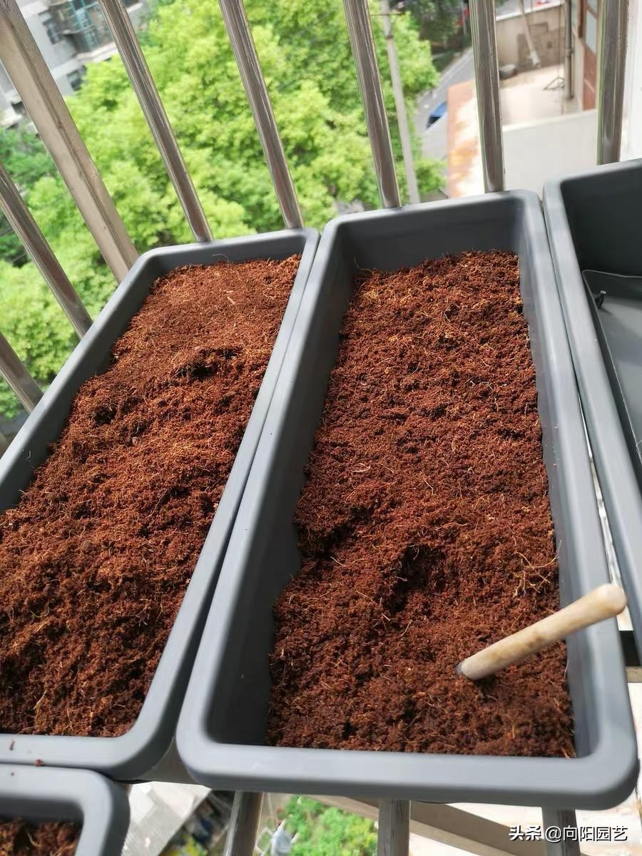 哪些植物不能用椰砖（椰糠价格很低富含植物纤维）
