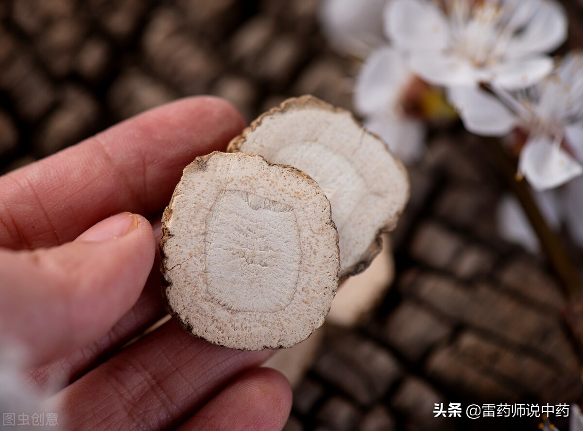 杭白芷和白芷的区别(杭白芷的功效和用法)