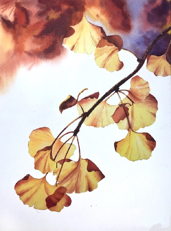 秋天的银杏树儿童画图片