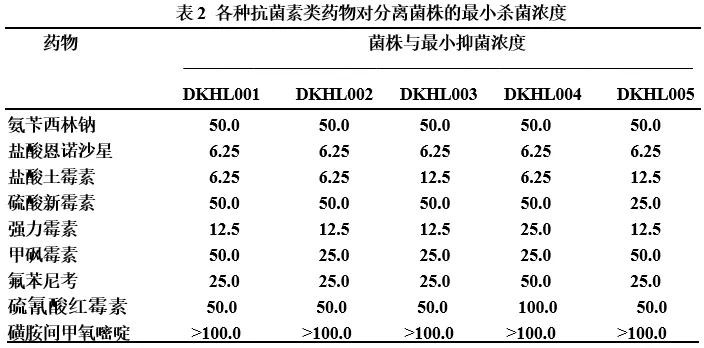 加州鱸養(yǎng)殖常見潰瘍病，正確處理方法你知道嗎？這則案例值得一看