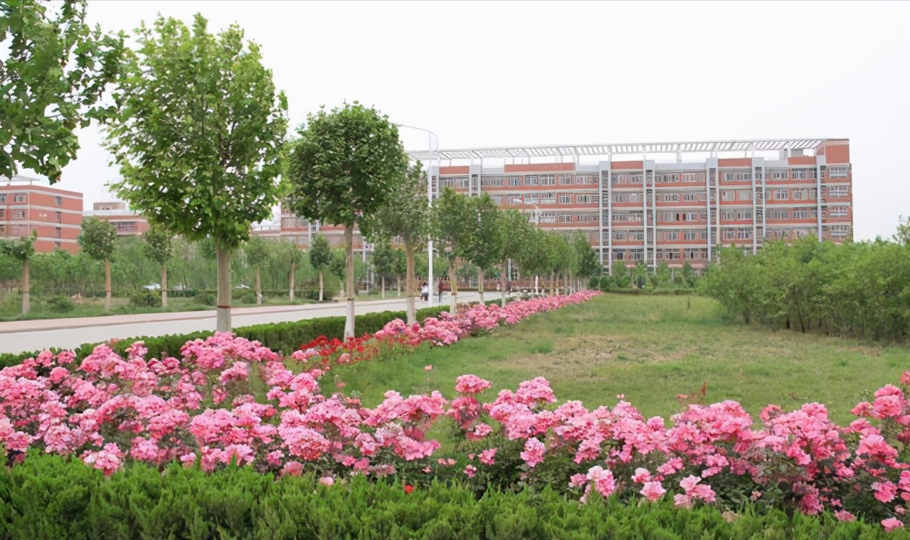 新乡学院，2020年在河南一本批次录取，特色专业和录取分数怎样？