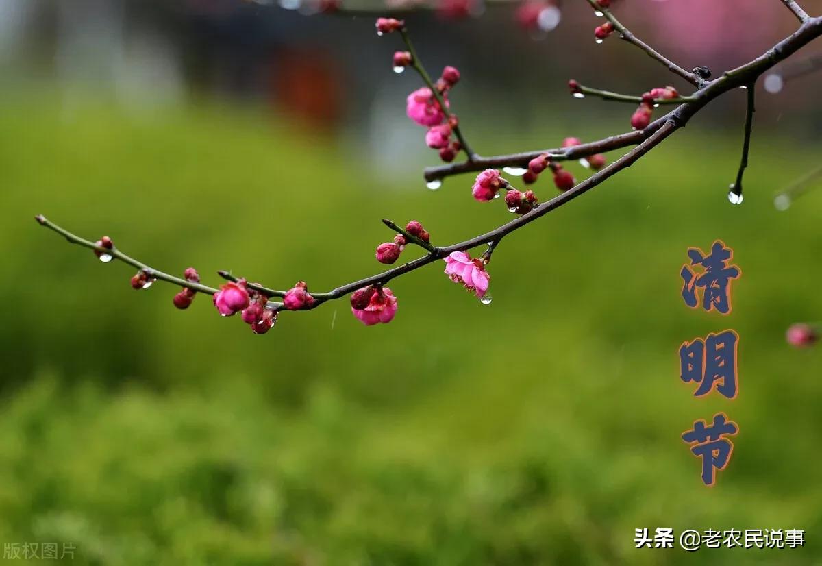 农村俗语：清明晚上三禁忌，切莫触犯要牢记，啥意思？有道理吗？