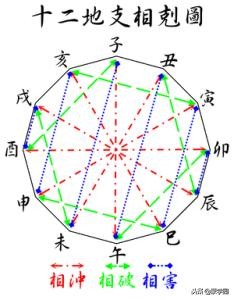 兔配蛇是大忌（兔和蛇配不配）-第1张图片-华展网