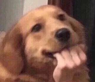 大学四年完整考证规划！超高含金量