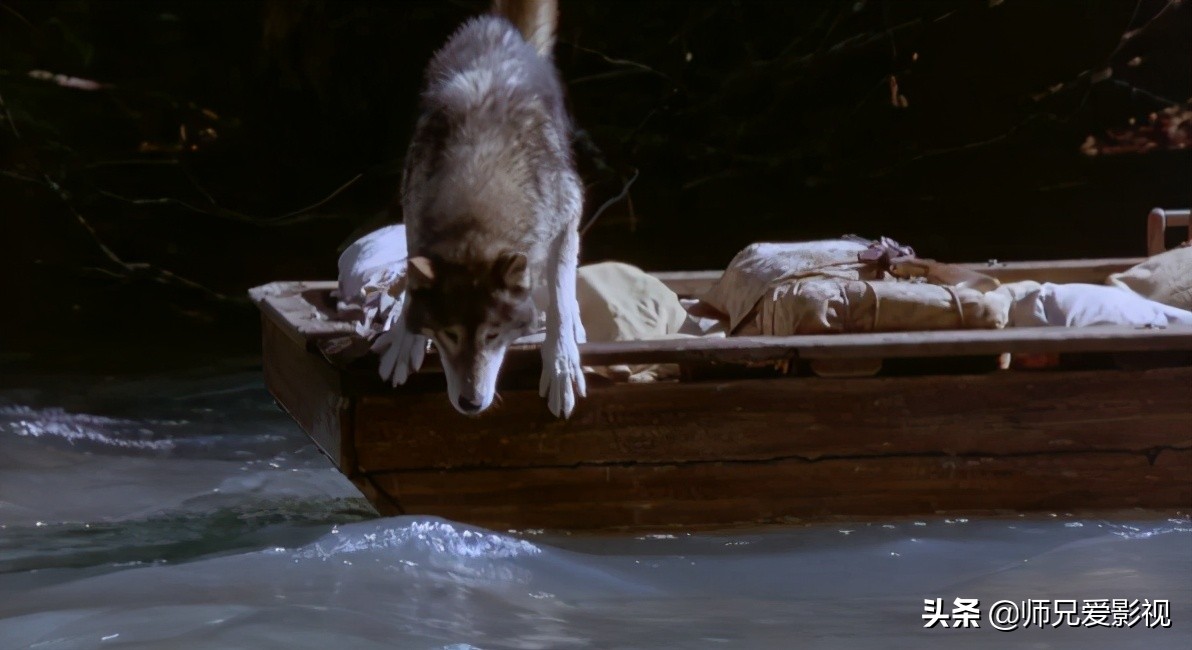 关于演绎狼的电影你知道哪些？