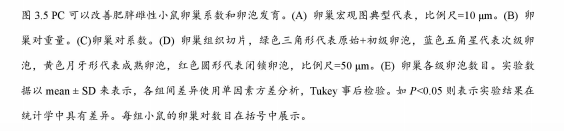 卵巢早衰、卵巢癌、不孕不育等卵巢疾病，藻蓝蛋白具有一定作用