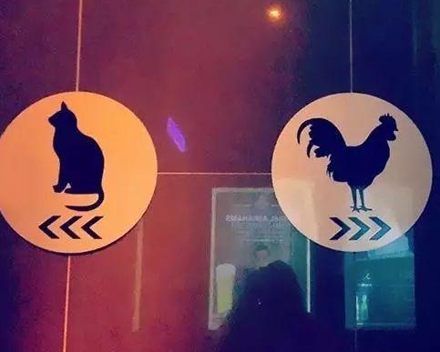 厕所标志没有男女，只有小猫和鸡，哪个是男哪个是女？
