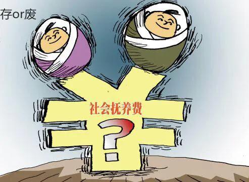 什么是社会抚养费,