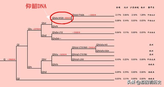 Q系基因是啥人种（鬼方部族与Q系）