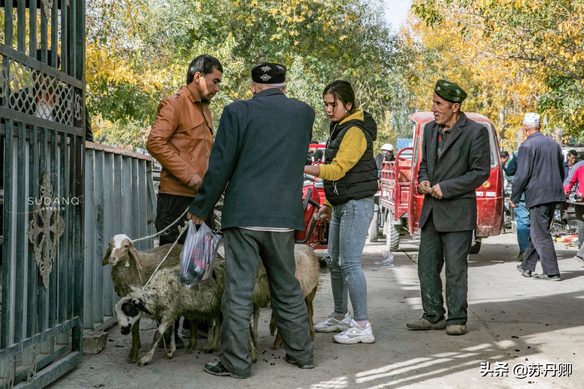 新疆羊肉批发价格今日「新疆羊肉批发价格行情」