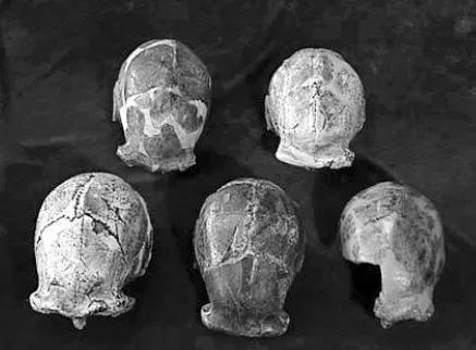 二战疑云 北京人头盖骨到底去了哪里 和 阿波丸 有关吗 天天看点